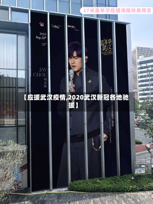 【应援武汉疫情,2020武汉新冠各地驰援】-第3张图片