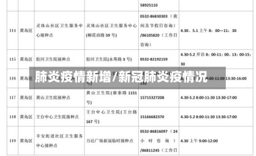 肺炎疫情新增/新冠肺炎疫情况