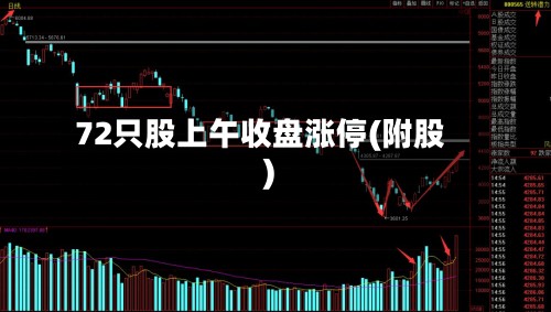 72只股上午收盘涨停(附股)