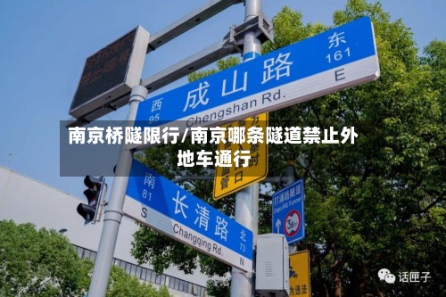 南京桥隧限行/南京哪条隧道禁止外地车通行-第2张图片
