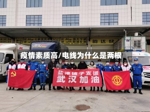 疫情素质高/电线为什么是两根-第2张图片