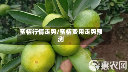 蜜桔行情走势/蜜桔费用走势预测