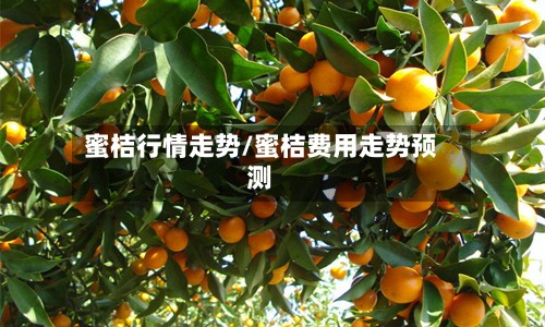 蜜桔行情走势/蜜桔费用走势预测-第2张图片