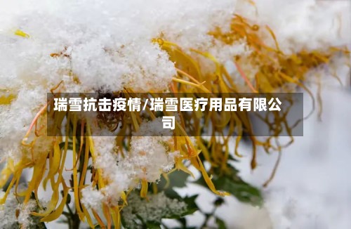 瑞雪抗击疫情/瑞雪医疗用品有限公司