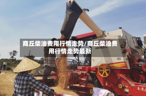 商丘柴油费用行情走势/商丘柴油费用行情走势最新
