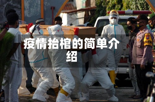 疫情抬棺的简单介绍-第2张图片