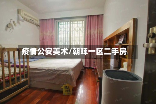 疫情公安美术/朝晖一区二手房-第2张图片