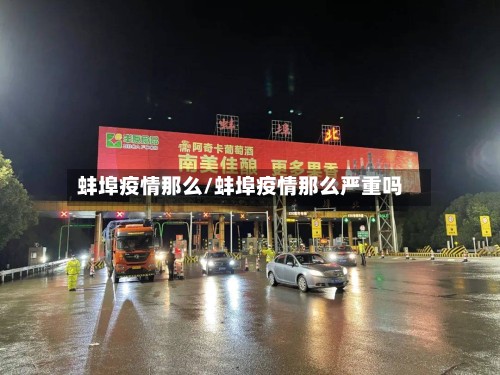 蚌埠疫情那么/蚌埠疫情那么严重吗-第2张图片