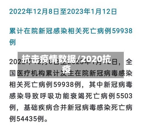抗击疫情数据/2020抗疫-第2张图片