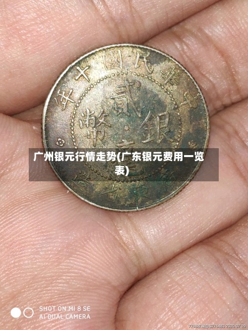 广州银元行情走势(广东银元费用一览表)