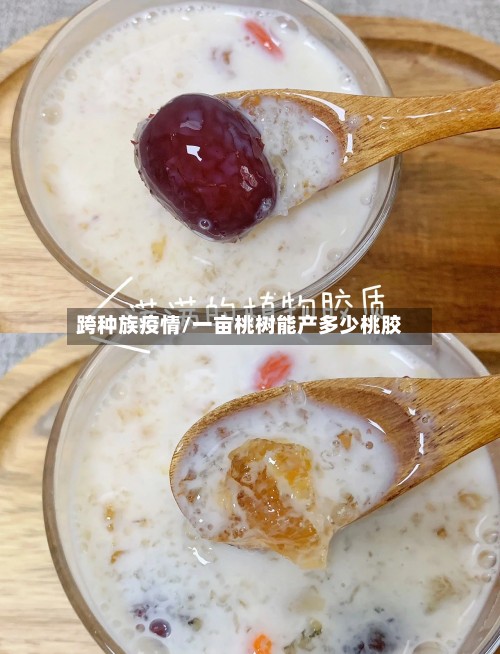 跨种族疫情/一亩桃树能产多少桃胶-第3张图片