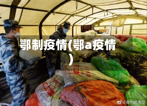 鄂制疫情(鄂a疫情)-第2张图片
