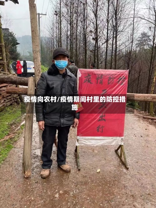 疫情向农村/疫情期间村里的防控措施