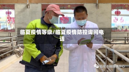 临夏疫情等级/临夏疫情防控询问电话