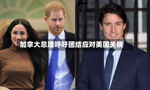 加拿大总理呼吁团结应对美国关税