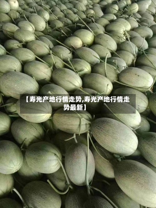 【寿光产地行情走势,寿光产地行情走势最新】