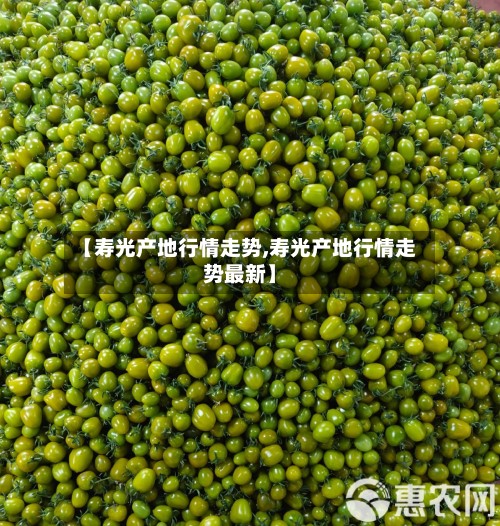 【寿光产地行情走势,寿光产地行情走势最新】-第2张图片