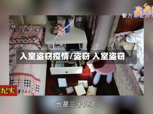 入室盗窃疫情/盗窃 入室盗窃