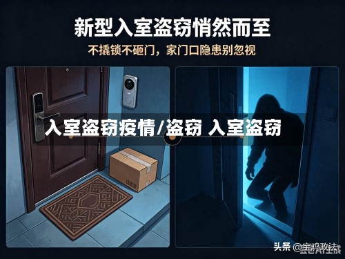 入室盗窃疫情/盗窃 入室盗窃-第2张图片