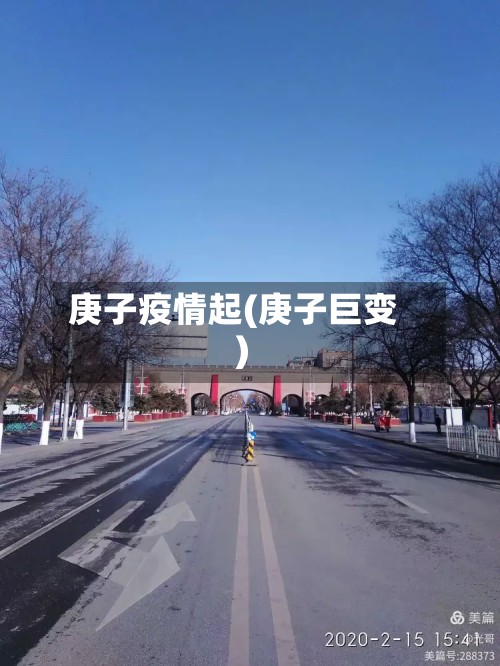 庚子疫情起(庚子巨变)-第3张图片
