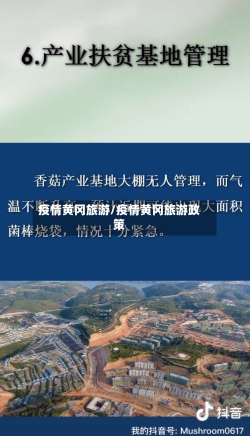 疫情黄冈旅游/疫情黄冈旅游政策