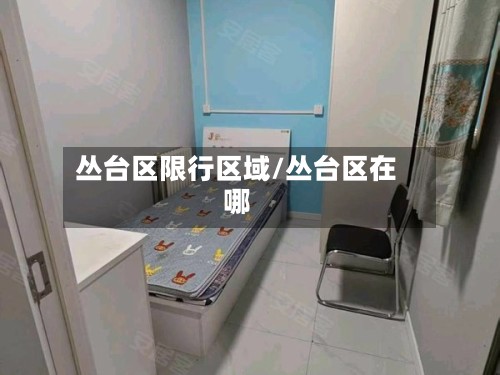 丛台区限行区域/丛台区在哪-第2张图片