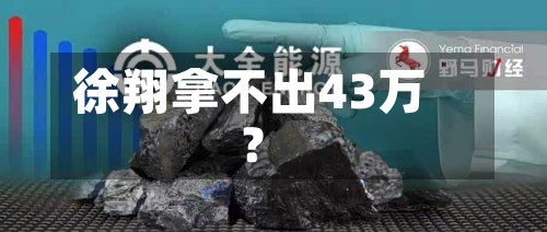 徐翔拿不出43万？-第2张图片