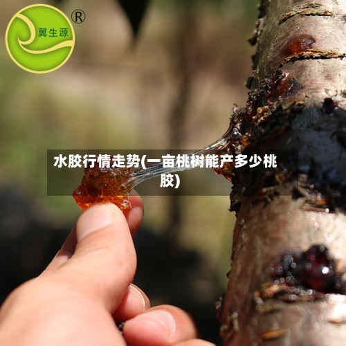 水胶行情走势(一亩桃树能产多少桃胶)