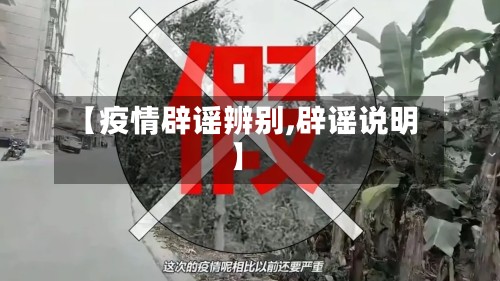 【疫情辟谣辨别,辟谣说明】