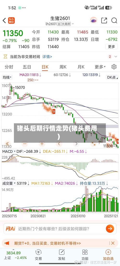 猪头后期行情走势(猪头费用)-第2张图片