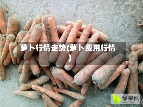萝卜行情走势(萝卜费用行情)