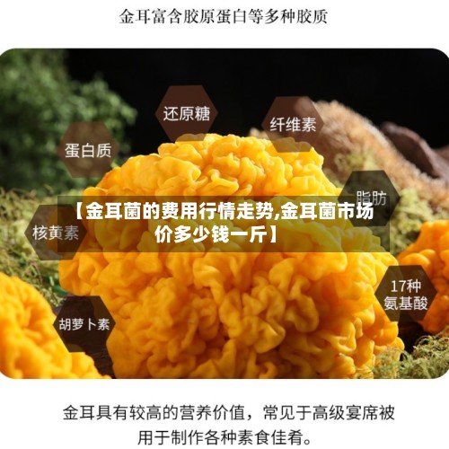 【金耳菌的费用行情走势,金耳菌市场价多少钱一斤】-第2张图片