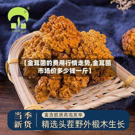 【金耳菌的费用行情走势,金耳菌市场价多少钱一斤】