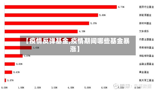 【疫情反弹基金,疫情期间哪些基金暴涨】-第2张图片