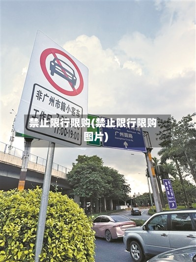 禁止限行限购(禁止限行限购图片)