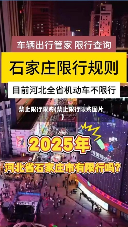 禁止限行限购(禁止限行限购图片)-第3张图片