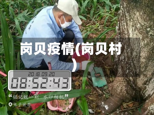 岗贝疫情(岗贝村)