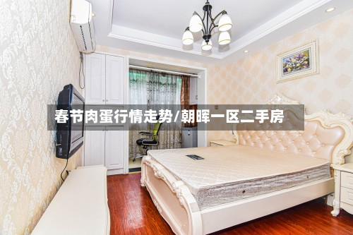 春节肉蛋行情走势/朝晖一区二手房-第2张图片