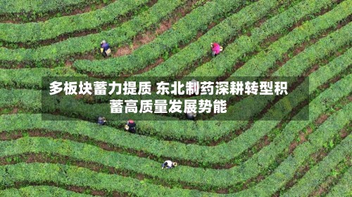 多板块蓄力提质 东北制药深耕转型积蓄高质量发展势能