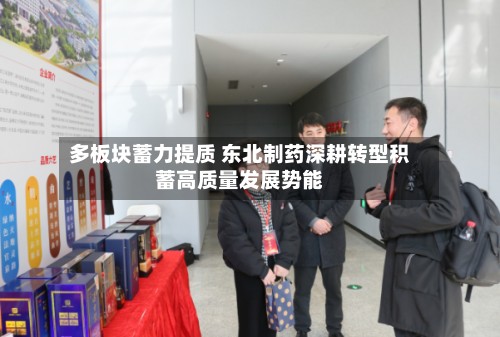 多板块蓄力提质 东北制药深耕转型积蓄高质量发展势能-第2张图片