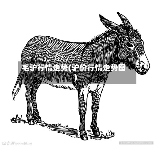 毛驴行情走势(驴价行情走势图)