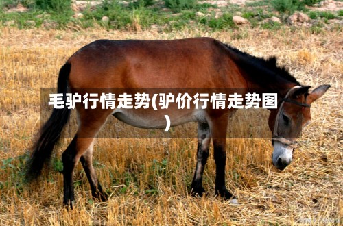 毛驴行情走势(驴价行情走势图)-第2张图片