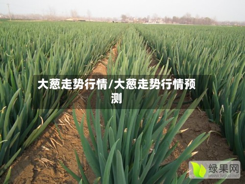 大葱走势行情/大葱走势行情预测
