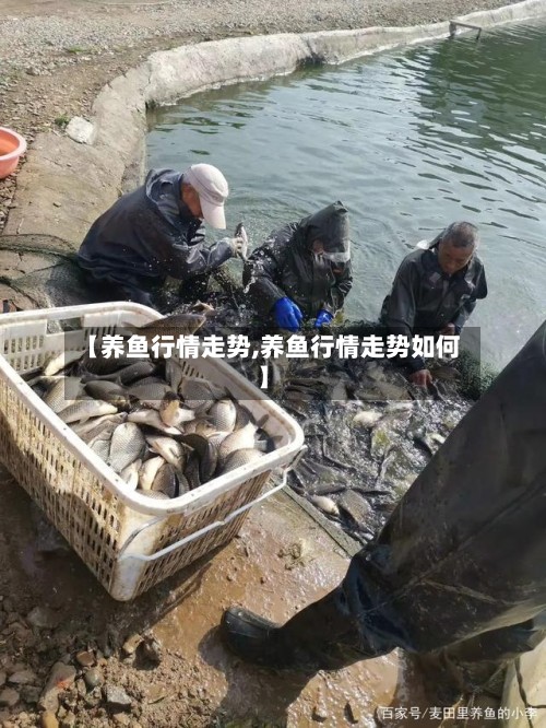【养鱼行情走势,养鱼行情走势如何】
