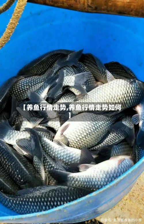 【养鱼行情走势,养鱼行情走势如何】-第2张图片