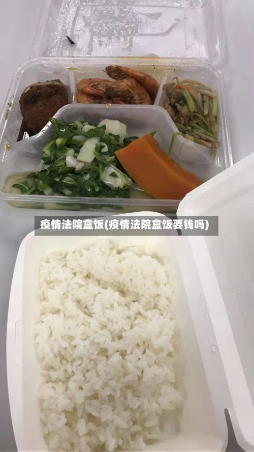 疫情法院盒饭(疫情法院盒饭要钱吗)-第3张图片