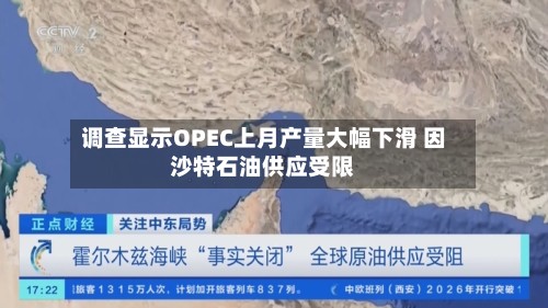 调查显示OPEC上月产量大幅下滑 因沙特石油供应受限-第1张图片