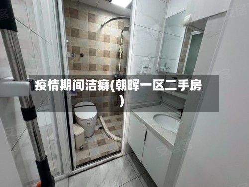 疫情期间洁癖(朝晖一区二手房)