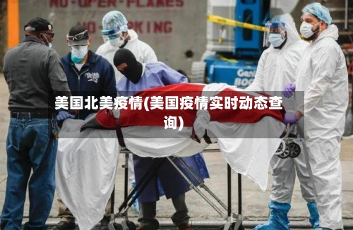 美国北美疫情(美国疫情实时动态查询)