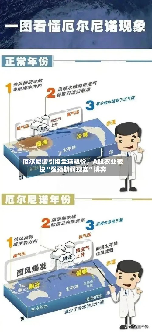 厄尔尼诺引爆全球粮价，A股农业板块“强预期弱现实”博弈-第2张图片